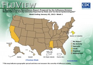 CDC map of flu in the US.