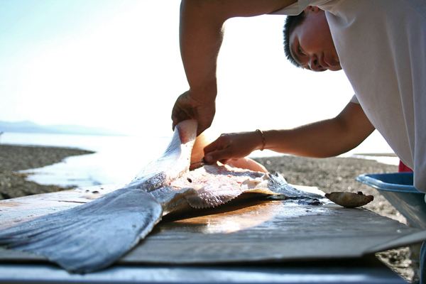 Shawaan Jackson-Gamble cleans a halibut for the Kake culture camp. Photo by Erik Neumann, KCAW - Sitka.