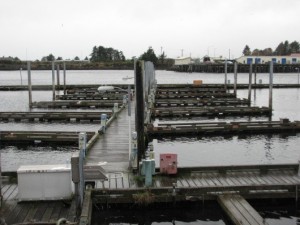 Slip holders at ANB harbor have all been relocated to other spots around Sitka as the city prepares to demolish it. Photo by Rachel Waldholz, KCAW - Sitka.