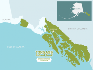The Tongass National Forest could resume allowing logging in roadless areas under a court ruling. But it won’t happen immediately — or at all. (U.S. Forest Service Image)