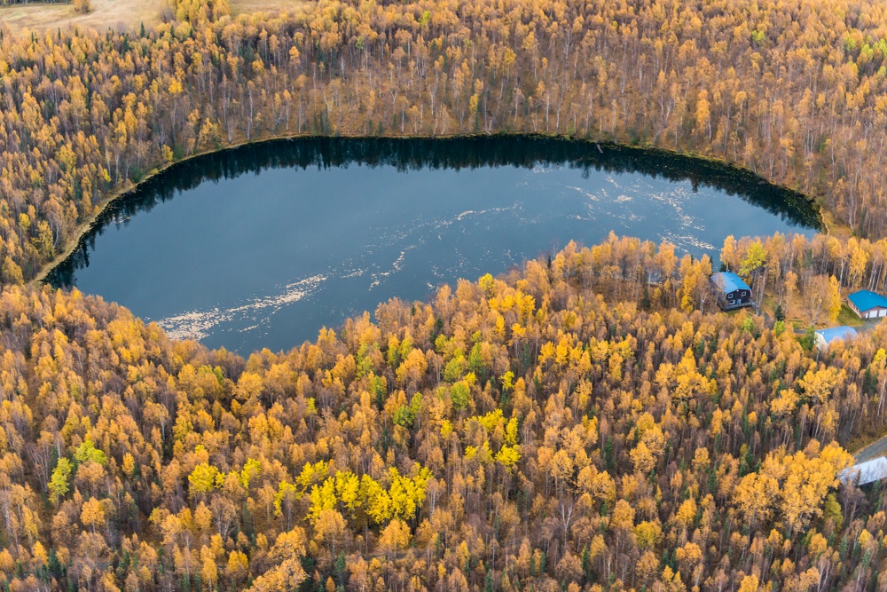 Dandy Lake from the air. Photo by Carl Johnson.