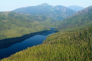 Aerial view of Tongass National Forest. (Creative Commons Photo by Alan Wu)