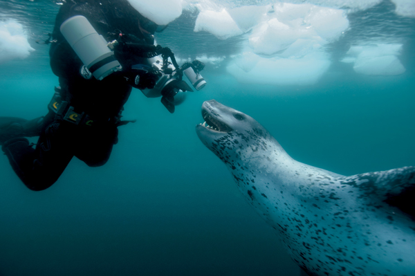 National Geographic photographer Paul Nicklen takes audiences to the vast polar regions of our planet. Paul Nicklen and leopard seal, Antarctica. (Image credit: Ehlme Goran)
