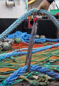 Fishing line/Footrope. (Photo courtesy NOAA Fisheries: Carwyn Hammond)