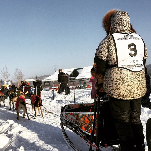 Denali Park musher Jeff King competes in the 2015 Yukon Quest. (Photo by Emily Schwing, KUAC - Fairbanks)