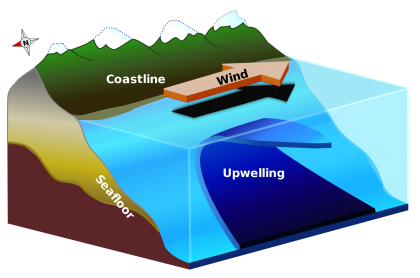 Diagram of upwelling which is a cycle of seasonal winds pushing newer oxygen-rich water off the surface of the ocean and older, nutrient and CO2 rich water rising up to take its place causing a lot of pH fluctuation. (Image courtesy of NOAA)
