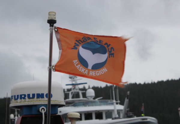 Participating Whale SENSE companies display an orange flag on their vessels. (Photo by Lisa Phu/KTOO)