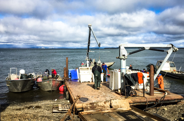 Sustainable fisheries - Alaska Public Radio Network