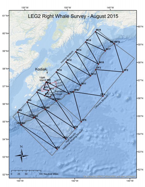 Map of NOAA’s 2015 right whale survey route. Photo: NOAA.