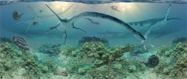 This painting of life in a Cretaceous sea by Anchorage artist James Havens depicts elasmosaurs. Photo: Museum of the North - 