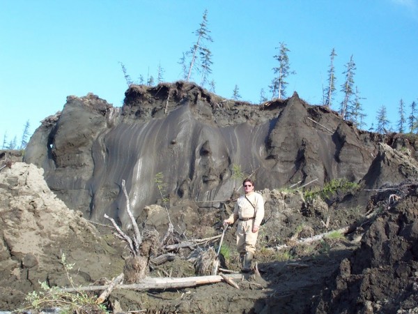 Vladimir Romanovsky in front of huge ice wedges in permafrost on an arctic riverbank. Photo: Sergey Davydov 