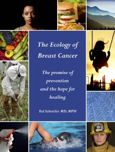 "Ecology of Breast Cancer", by Ted Schettler, MD