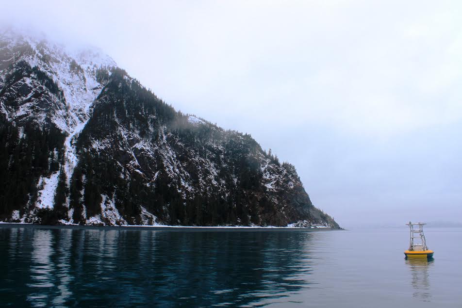 A buoy in Seward’s Resurrection Bay measures ocean acidification parameters every three hours. (Photo courtesy Alaska Ocean Acidification Research Center)