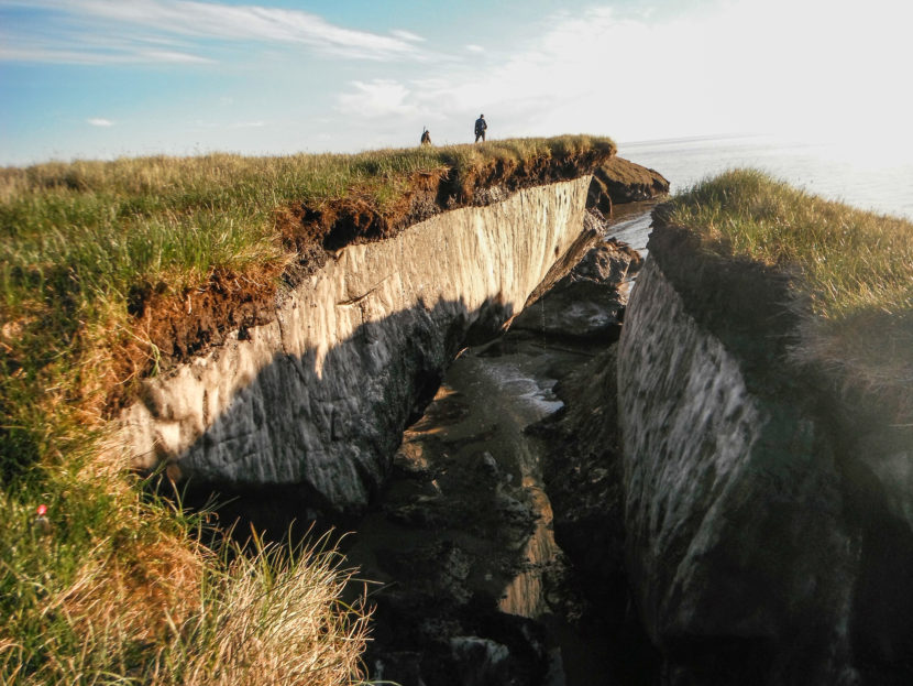 Coastal erosion reveals the extent of ice-rich permafrost underlying active layer on the Arctic Coastal Plain in the Teshekpuk Lake Special Area of the National Petroleum Reserve - Alaska. (Photo by Brandt Meixell, USGS)