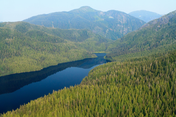 Aerial view of Tongass National Forest. (Creative Commons Photo by Alan Wu)