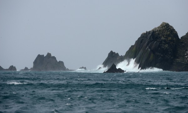 Buldir Island a ‘life changer’ for seabird researchers | Alaska Public ...