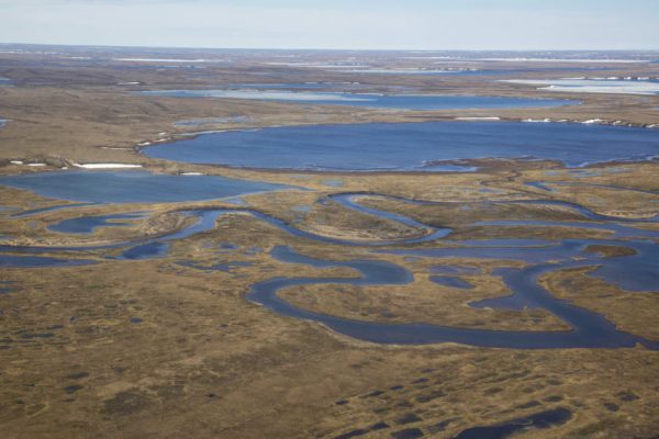 A swampy tundra area as seen from above