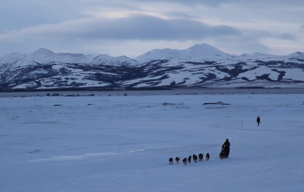A musher goes into a village.