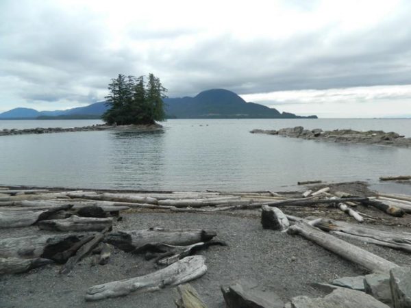 A beach under cloudy skies with driftwood and spruce treees on a small island in the background