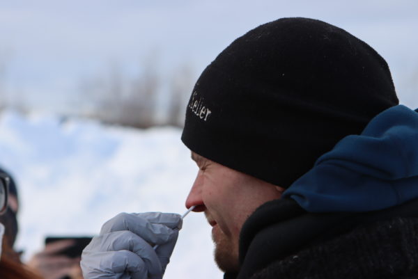 A musher gets his nose swabbed for COVID-19.