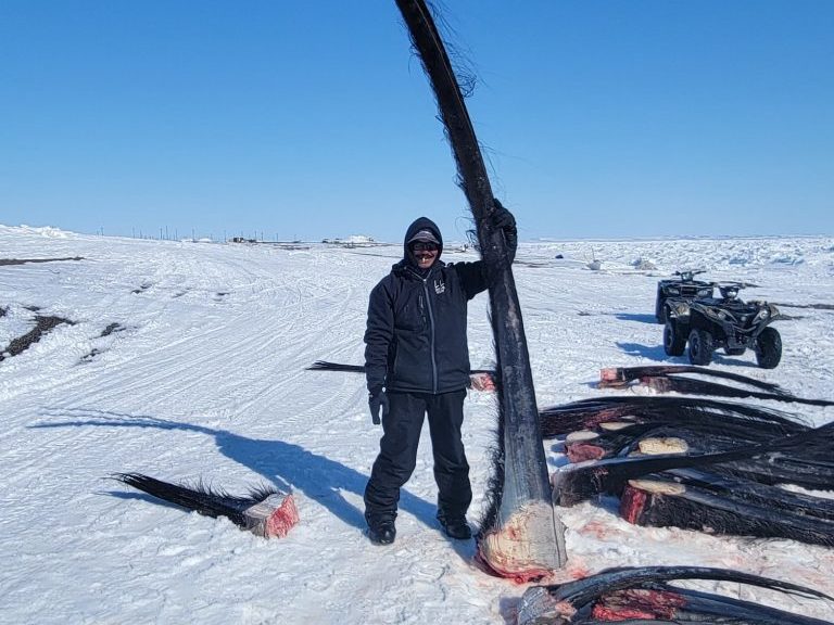 A man standing on ice holds up a long slab of baleen