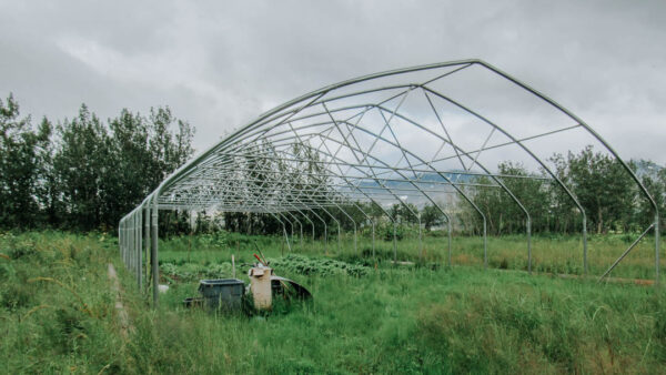 The beginnings of a greenhouse with trees in the background.