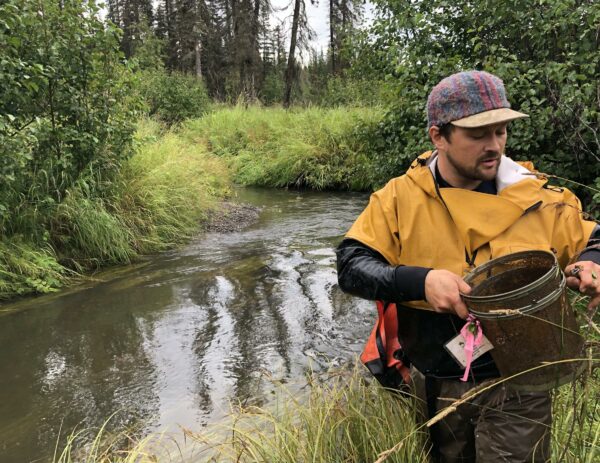 A man in a hat wearing a rain jacket pulls a fish trap out of a creek.