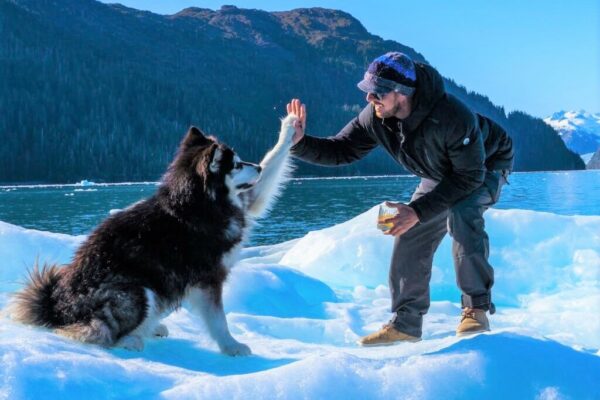 A man and his dog high-five