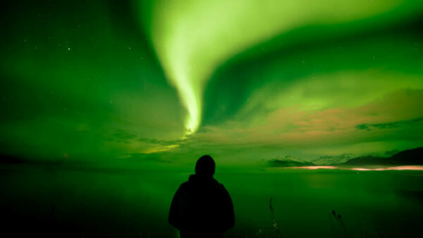 The shadow of a person looks at green aurora.