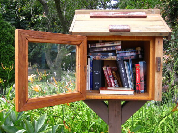 A tiny wooden library outside and filled with books.
