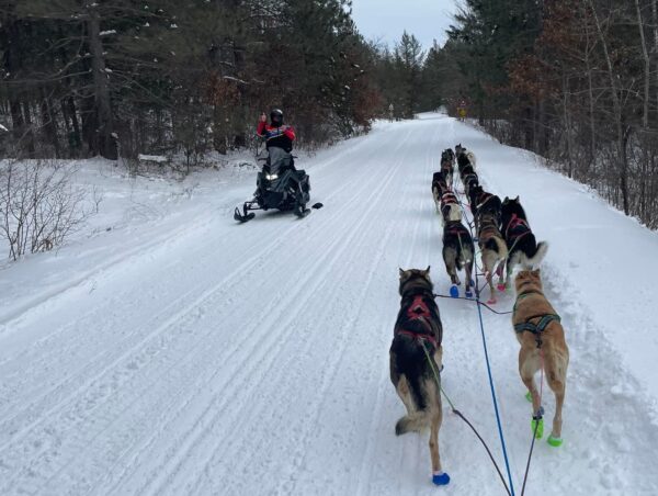 A dog team mushes by a snowmachine.