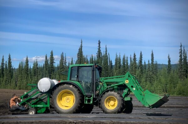 A green tractor in a field in front of some spruce trees