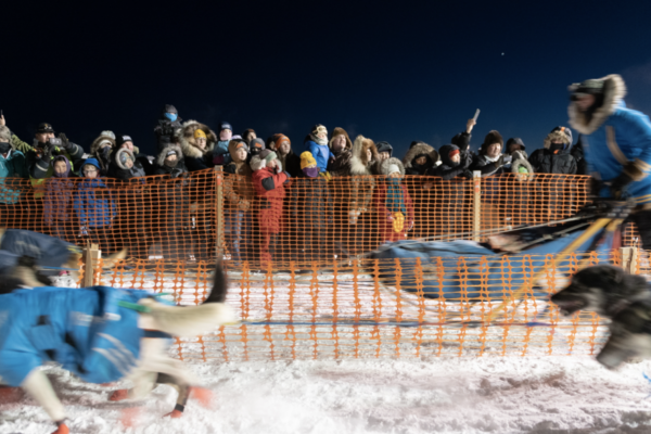 A musher and dogs race to a finish line lined with people
