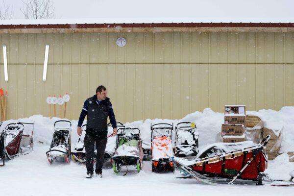 a person looks at dog sleds in front of a building