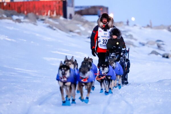 a musher, small child, and dog team arrive in Nome