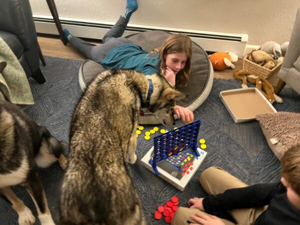 A dog looks at a connect four set