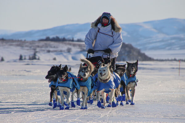 Šunų komanda snieguotą dieną