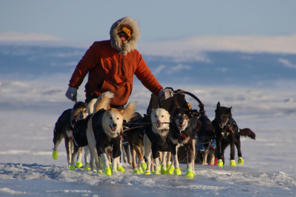 A sled dog team on ice