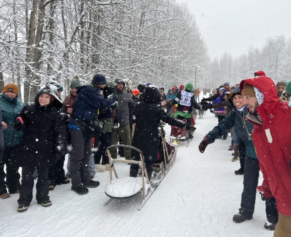 people line a snowy trail and give high fives to a musher