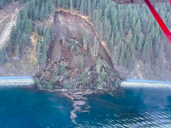 A landslide seen from above cutting through spruce trees